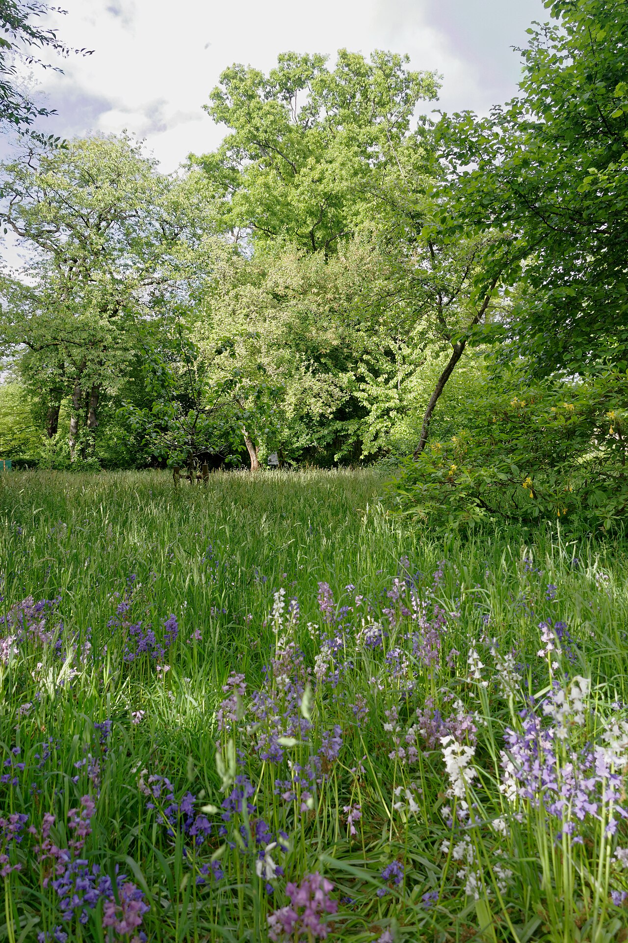 Hamburg-Eppendorf, Garden de l'Aigle,