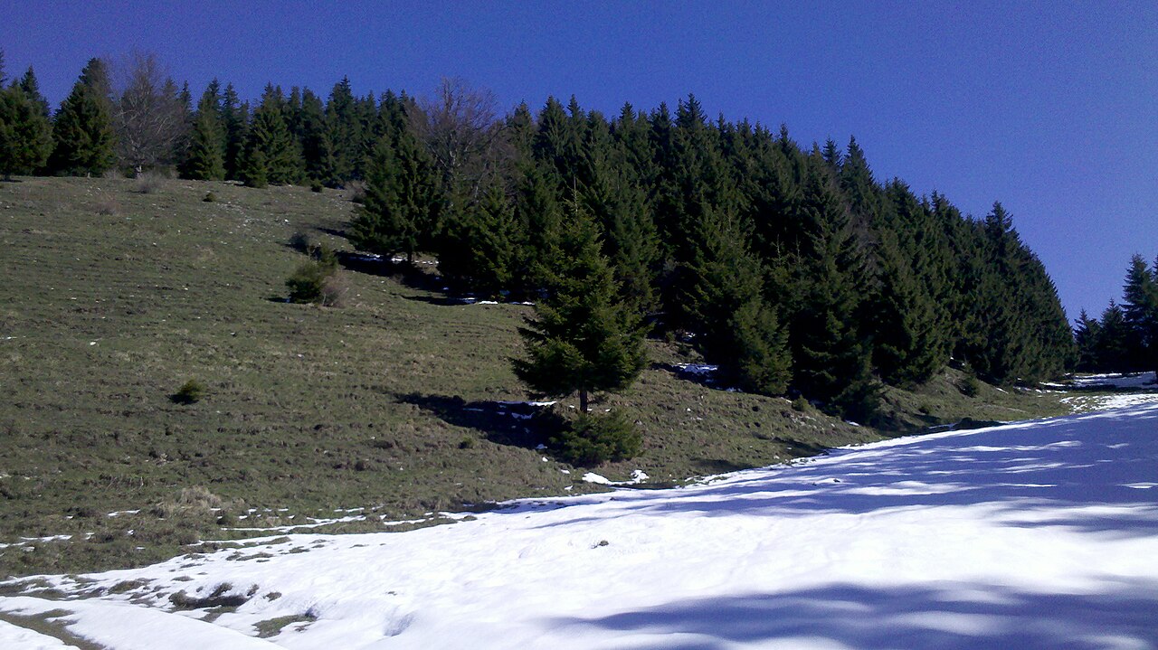 Gassler Berg, view from south