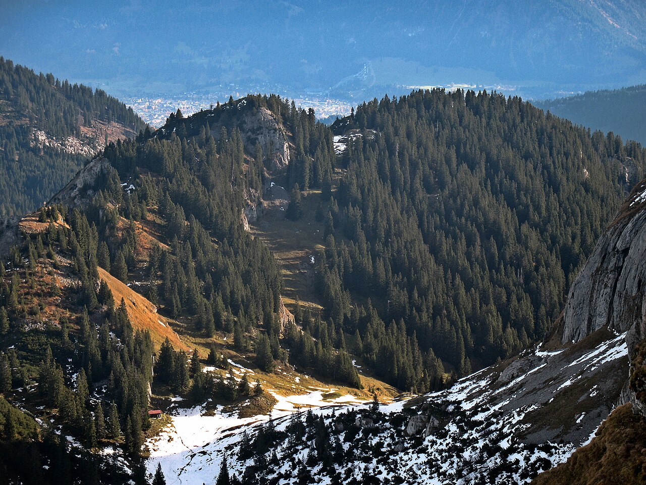 Foto von Gatterkopf