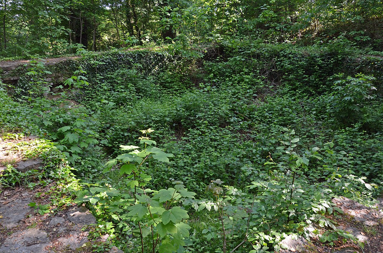 Turmstumpf der Gaugrafenburg im Brettener Burgwäldle