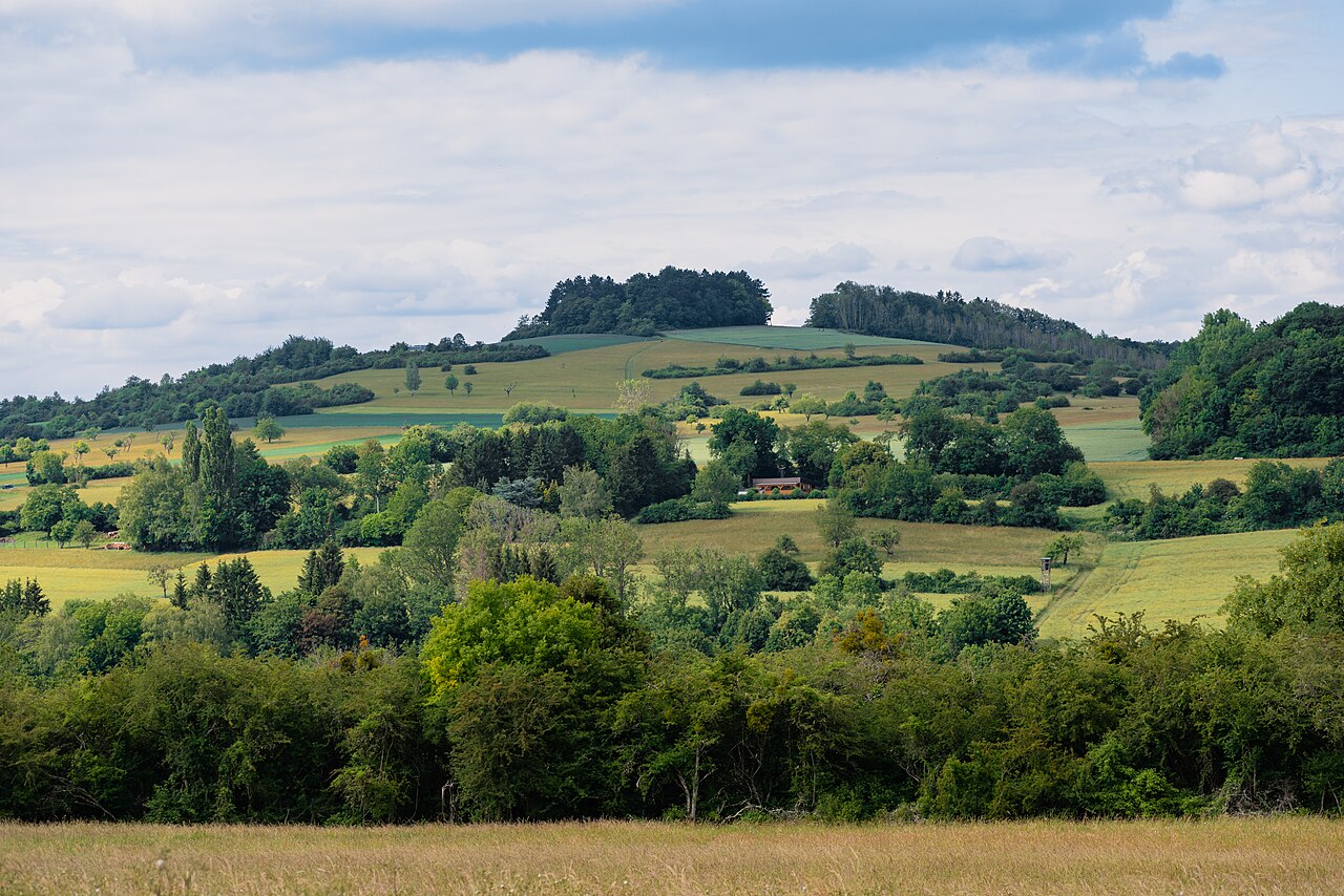 View on the Gebberg from a meadow in Bübingen