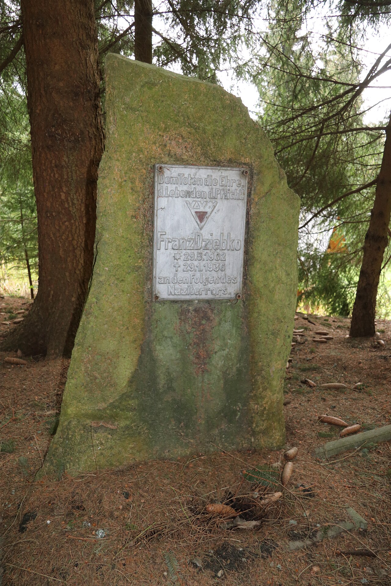 Gedenkstein für Franz Dziebko in Antonsthal