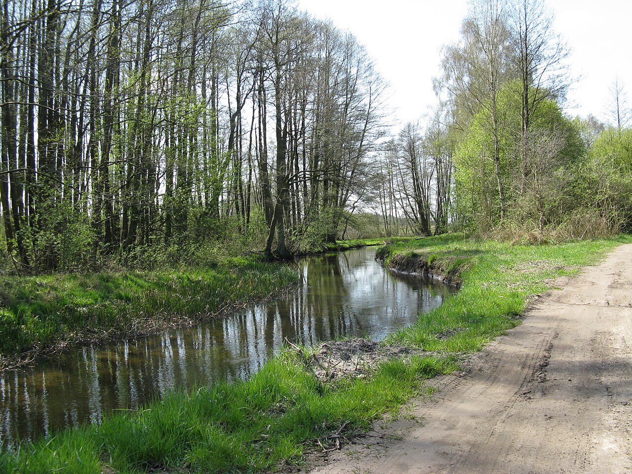 Foto von Gehlsbachtal