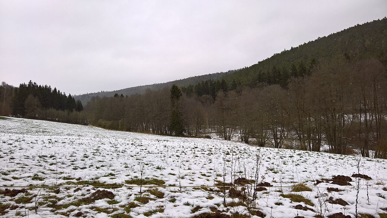 Das "Naturschutzgebiet Geierstal von Vielbrunn" im oberen Ohrnbachtal nördlich des Golfplatzes,