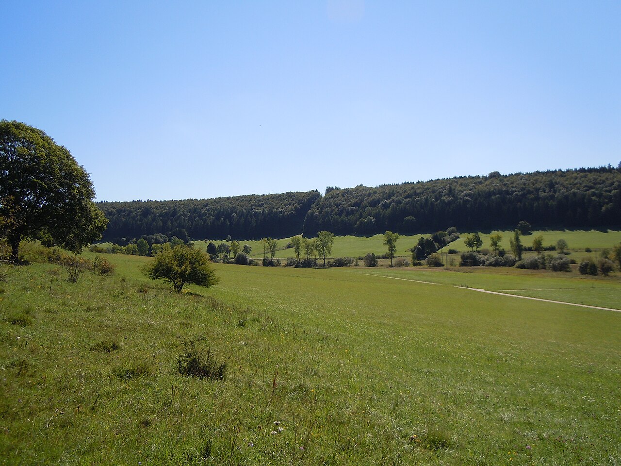 Oberlauf der Schmiecha im Naturschutzgebiet Geifitze