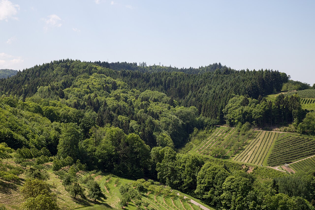 Blick vom Köbelesberg auf den Geigerskopf bei Oberkirch im Schwarzwald