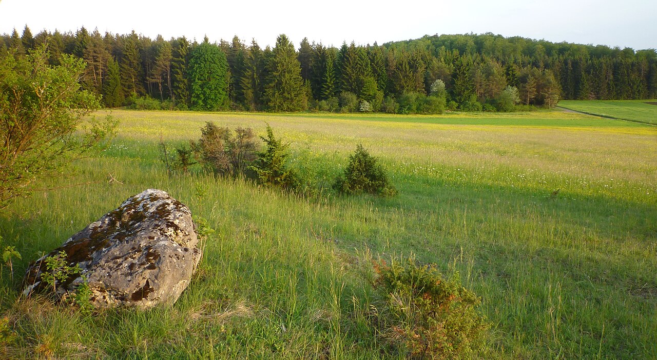 Hohenstein - Geißberg, Sicht nach Süden