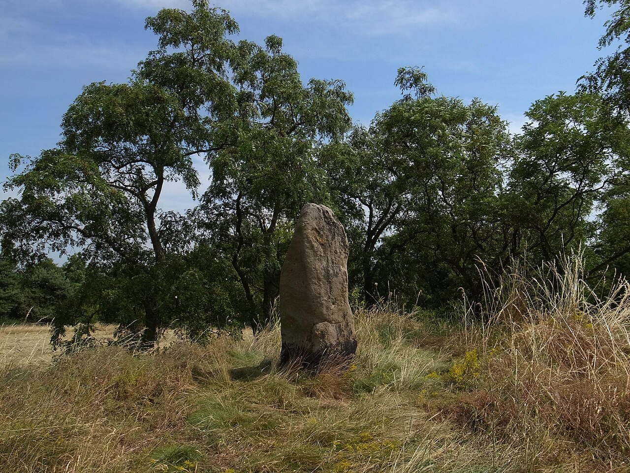 Brachstedt, Ortsteil Hohen, Menhir auf dem Steinberg