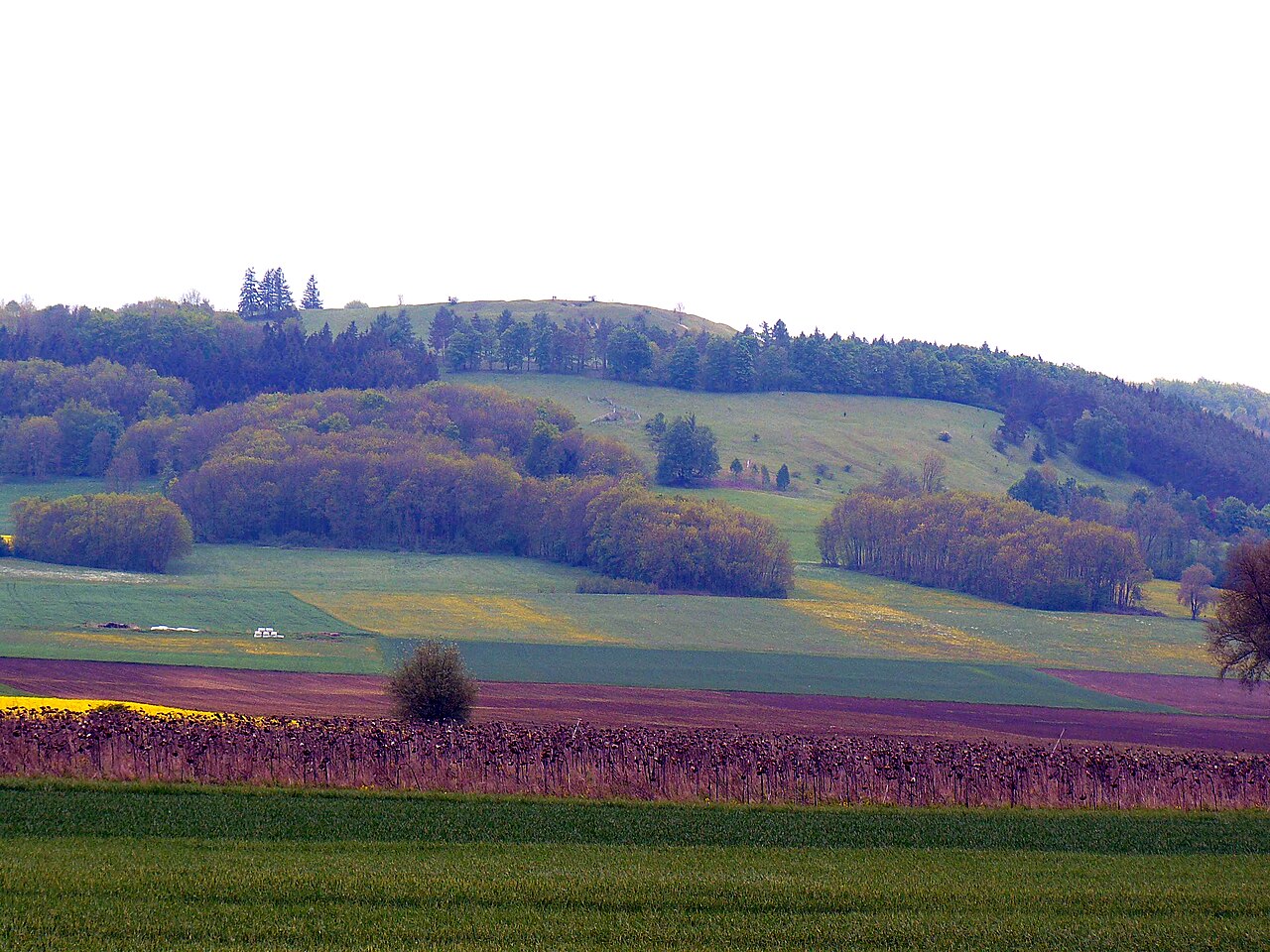 Gelbe Bürg from North, Mittelfranken, Germany