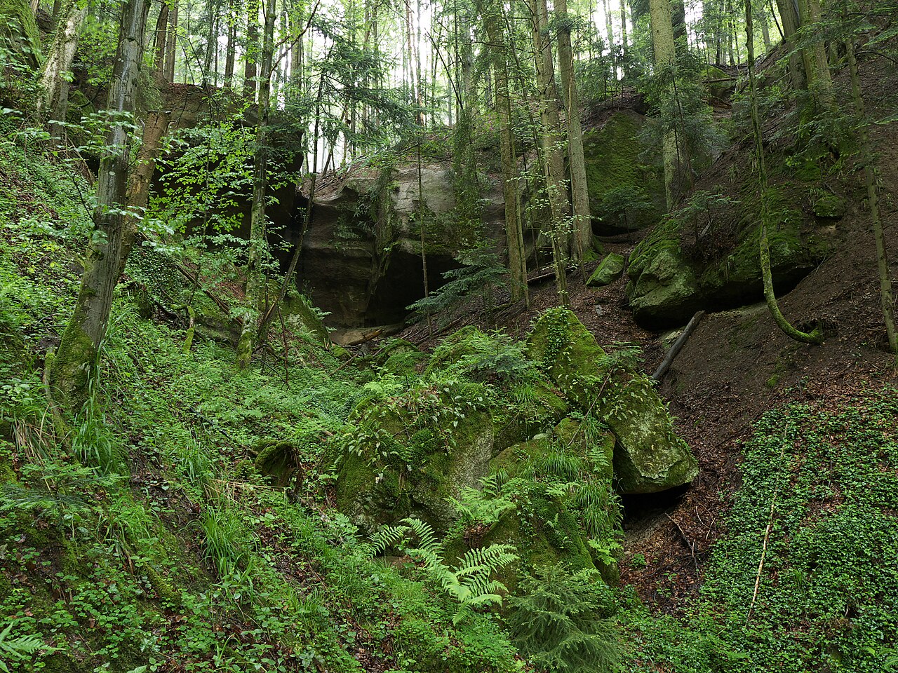 View in north direction (roughly) to the grotto in the Geldmacherklinge (natural monument