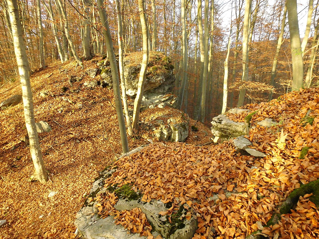 Abgegangene Höhenburg Burg Genkingen auf einem Bergsporn nördlich von Genkingen