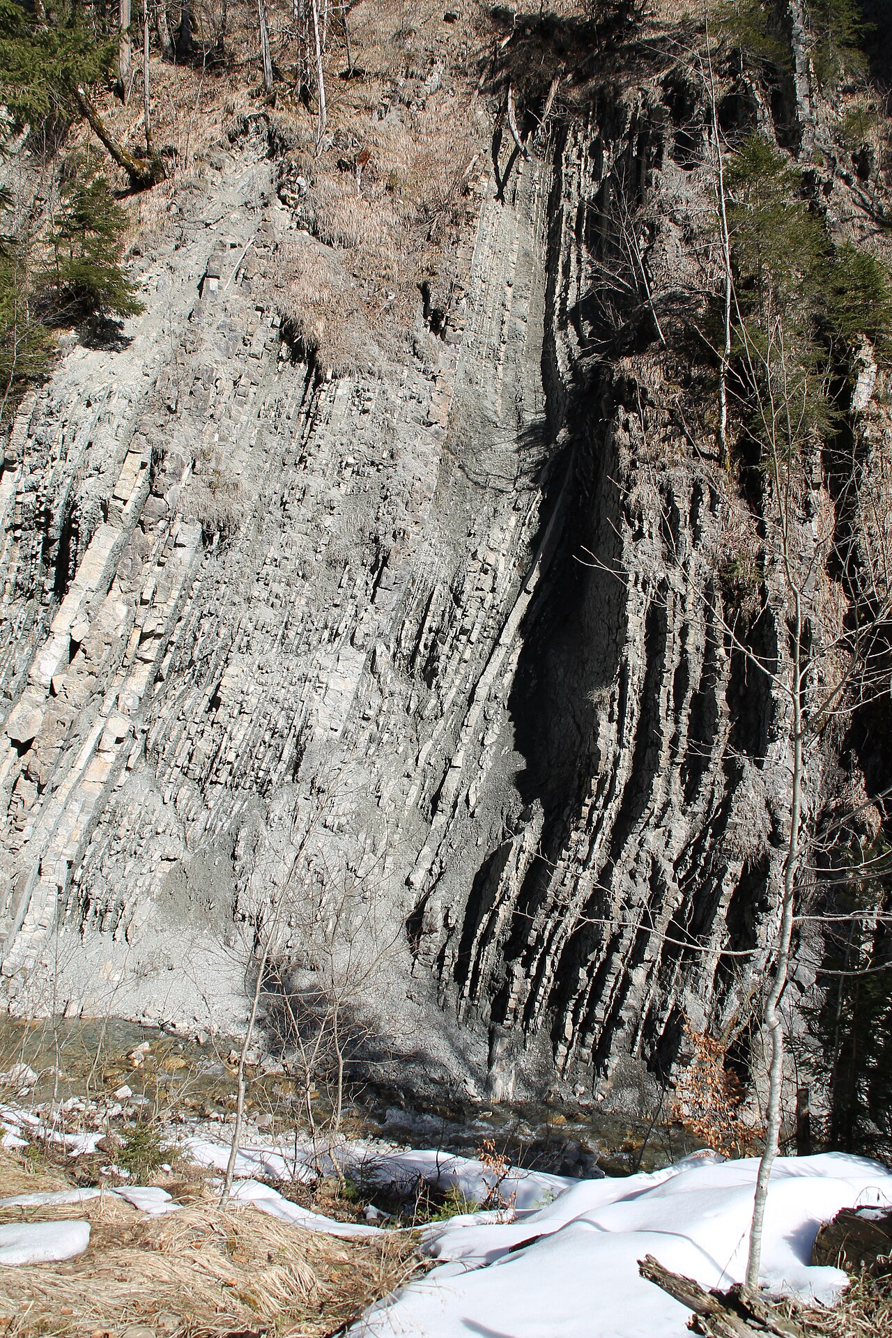 Foto von Geotop Flysch im Röthenbachtal