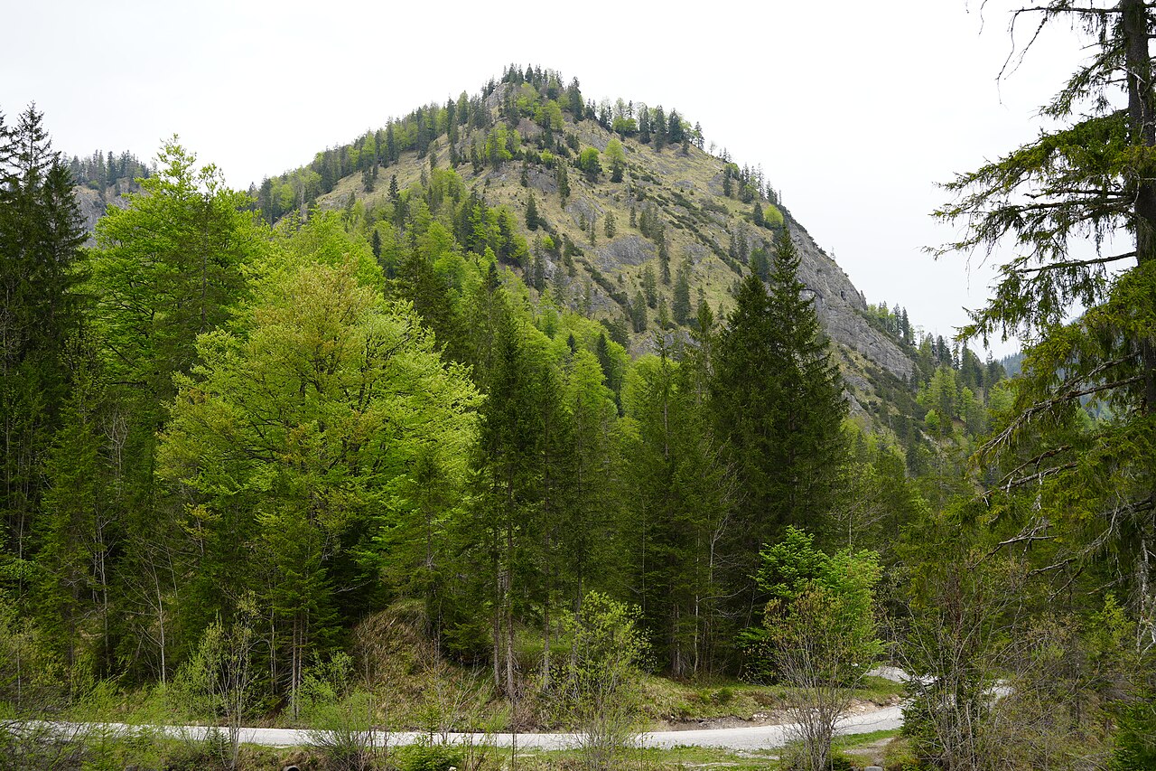 Blick auf den Gernbergkopf von Siebenhütten