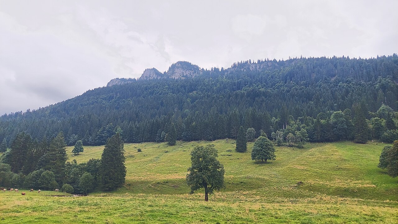 Kackenköpfe in the Allgäu Alps