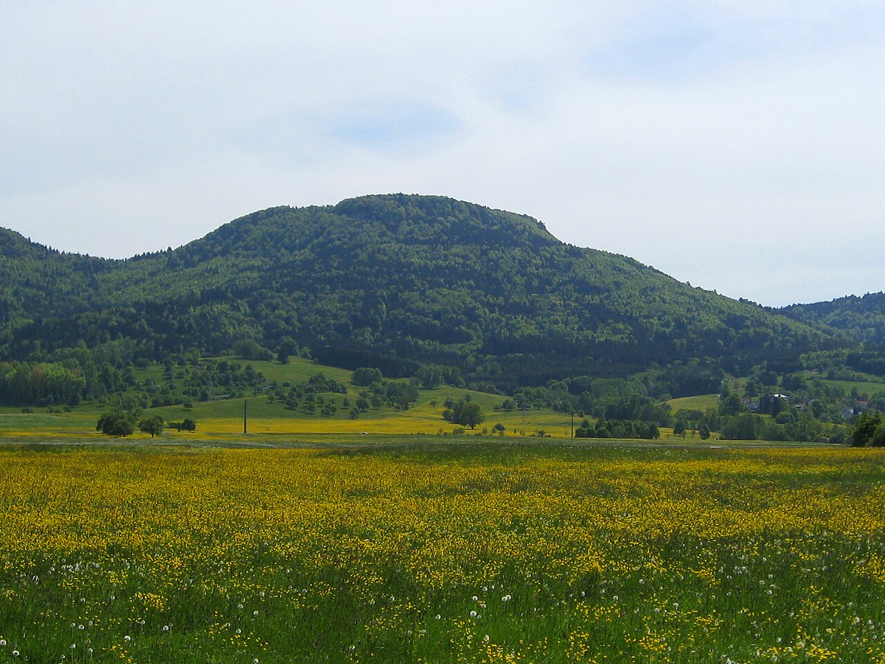 Schafberg vom nördlichen Albvorland aus gesehen