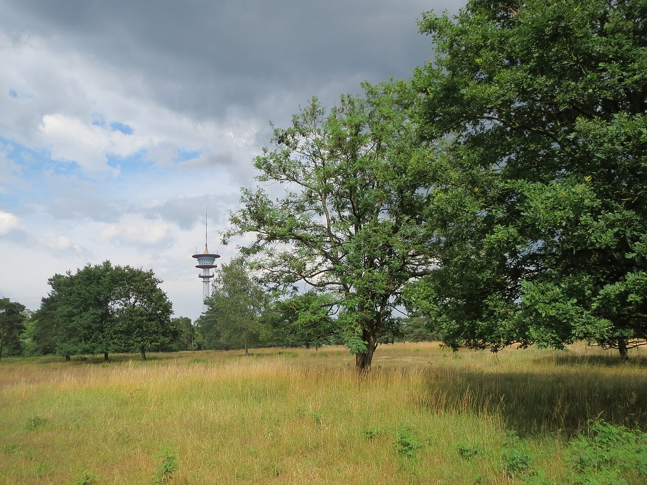 Naturschutzgebiet Gewann Frankreich-Wiesental