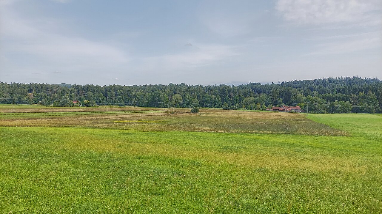 protected area Gießenmoos in the municipality of Wangen im Allgäu