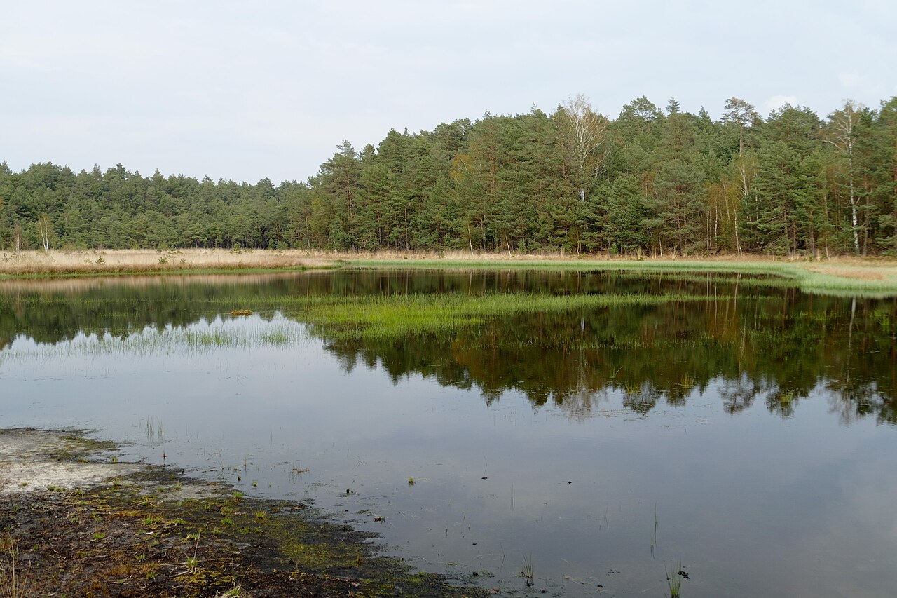 Naturschutzgebiet Gilder Meerbergsmoor, NSG BR 144
