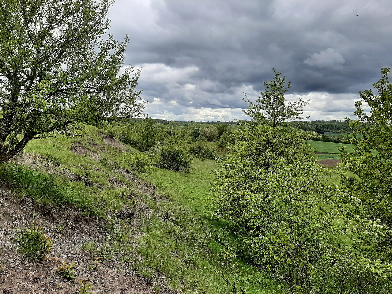 Nature Reserve Gipsbruch Kirchbühl, Crailsheim, Germany 2021