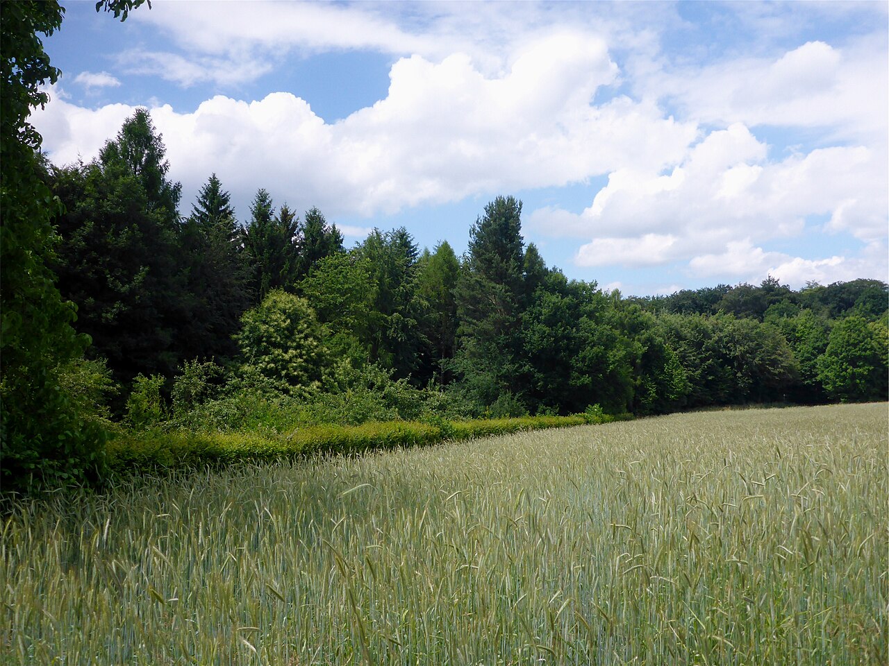 Naturschutzgebiet „Glasbächle, Krebsbächle und Farlickwiesen “ is a nature reserve in Baden-Württemberg, Germany