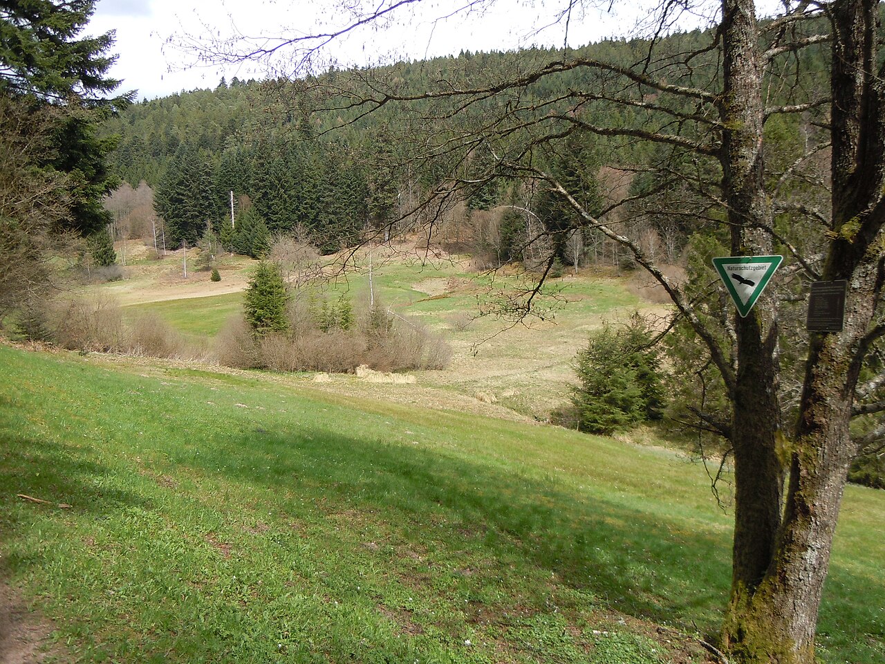 Naturschutzgebiet Glaswiesen und Glaswald (Schutzgebiets-Nr