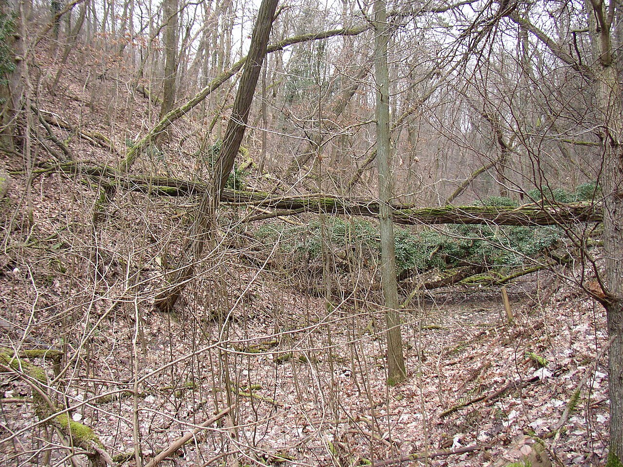 Die „Glindower Alpen“, eine Bergbaufolgelandschaft im Landkreis Potsdam-Mittelmark, Brandenburg