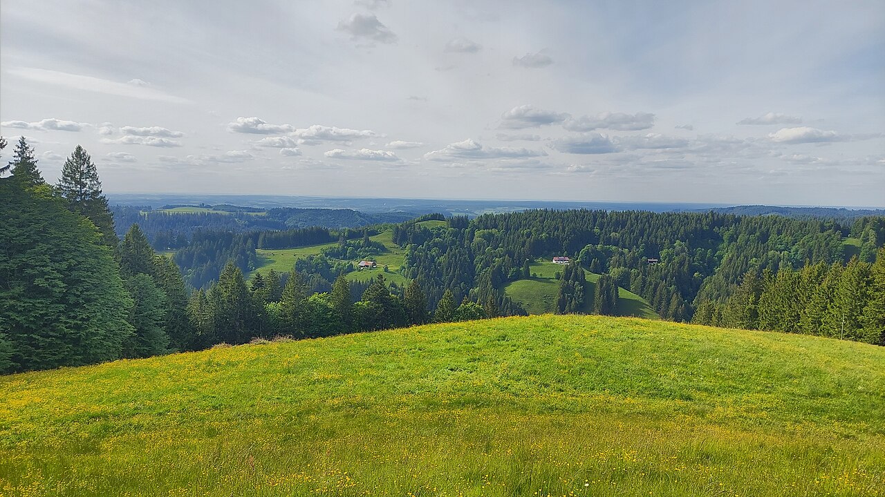 View from Steinberg to the north