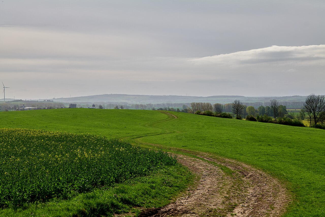 Goldberg in Großenbehringen in Hörselberg-Hainich