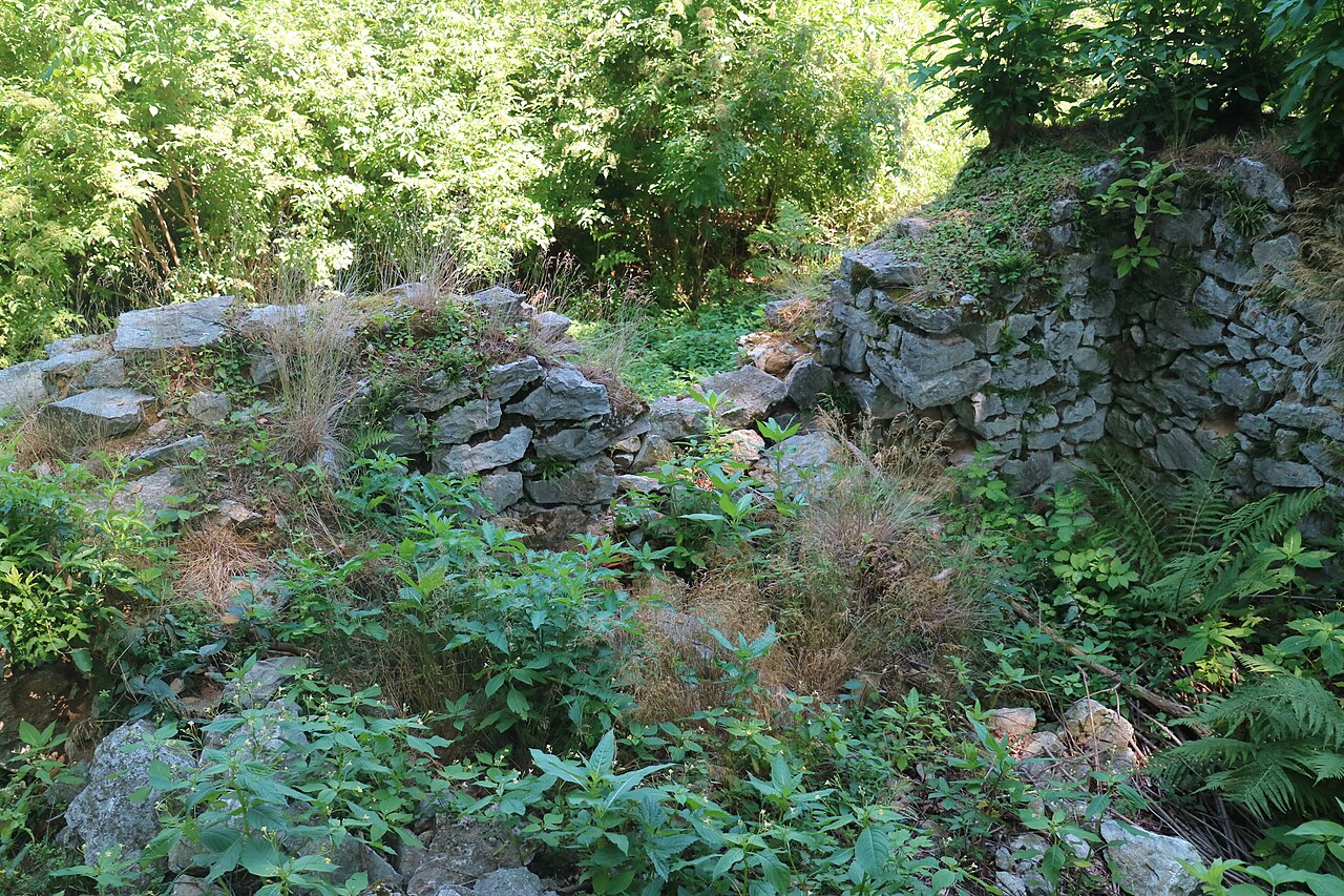 Foto von Goldhannwarte
