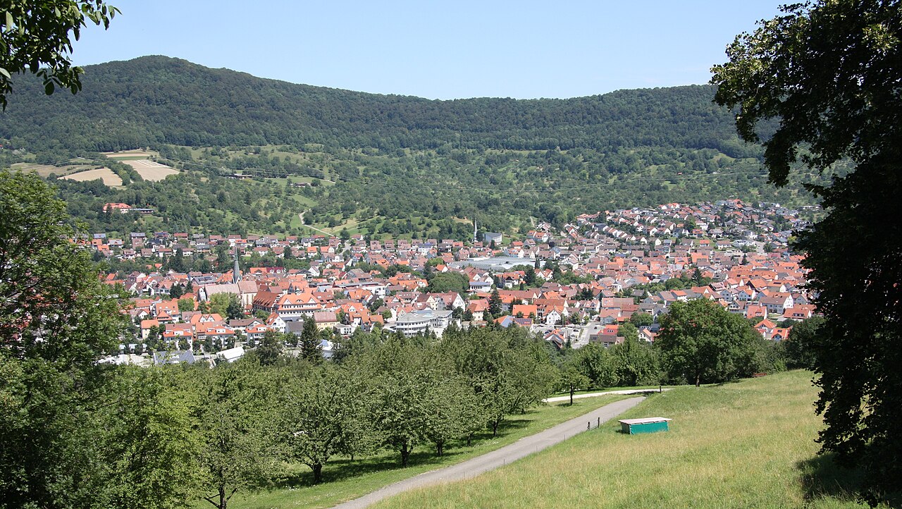 Dettingen an der Erms (Mitte), aufgenommen westlich vom Calverbühl