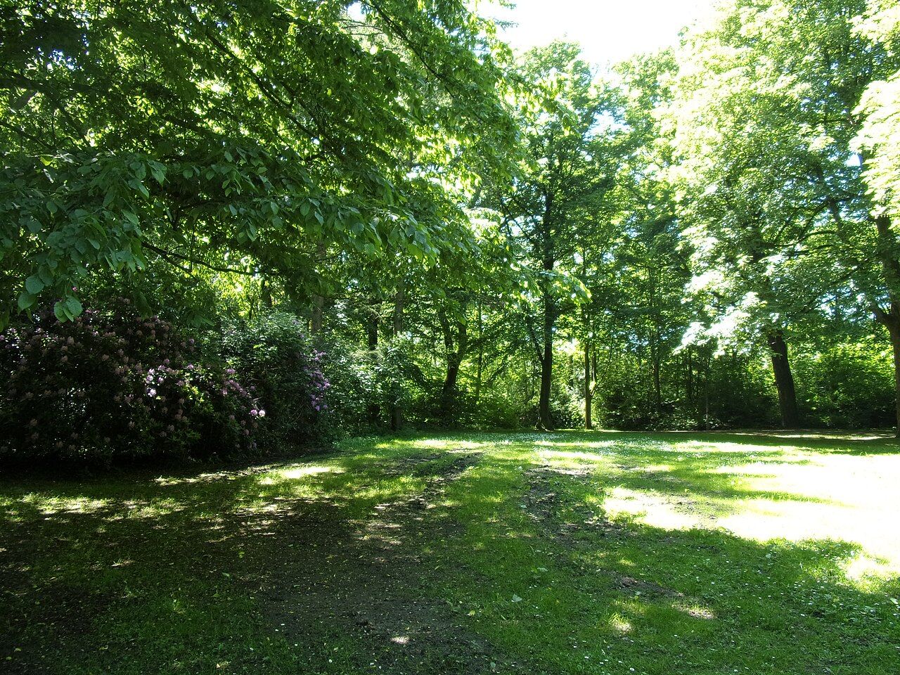 Foto von Goldschmidtpark