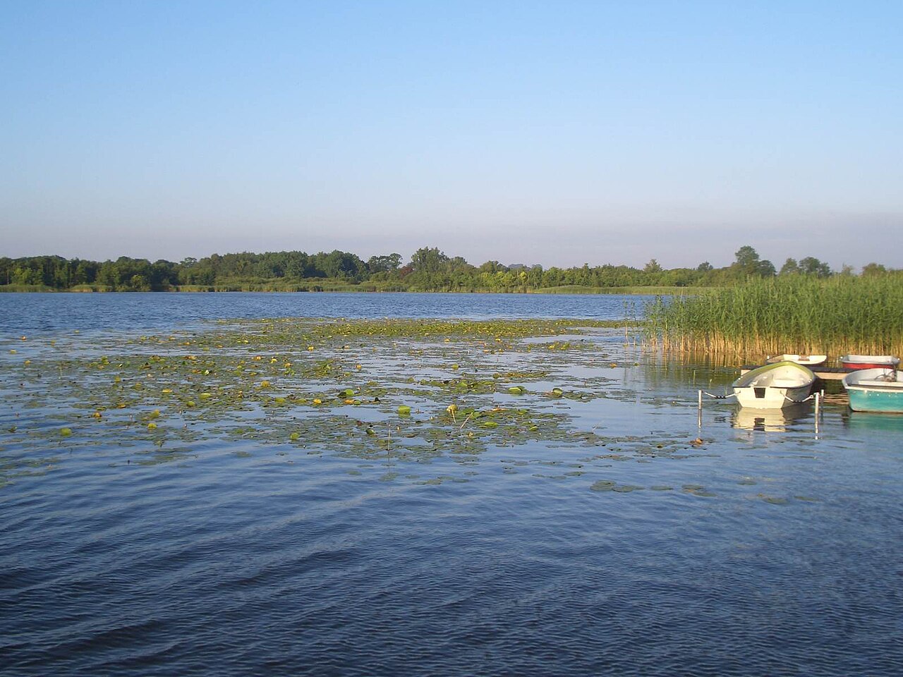 Blick auf den Inselsee und in das Naturschutzgebiet Gutower Moor und Schöninsel bei Güstrow