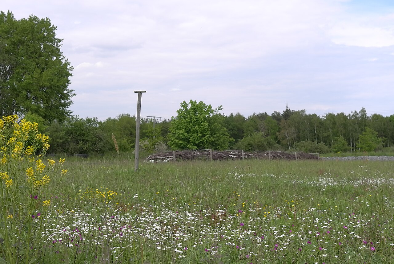 Naturschutzgebiet „Gräbenwäldchesfeld von Hausen“