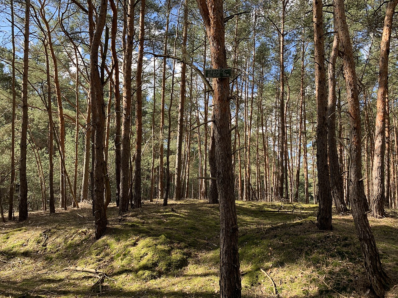 Grämitzberge, eine 78 Meter hohe Erhebung in Michendorf, Landkreis Potsdam-Mittelmark in Brandenburg