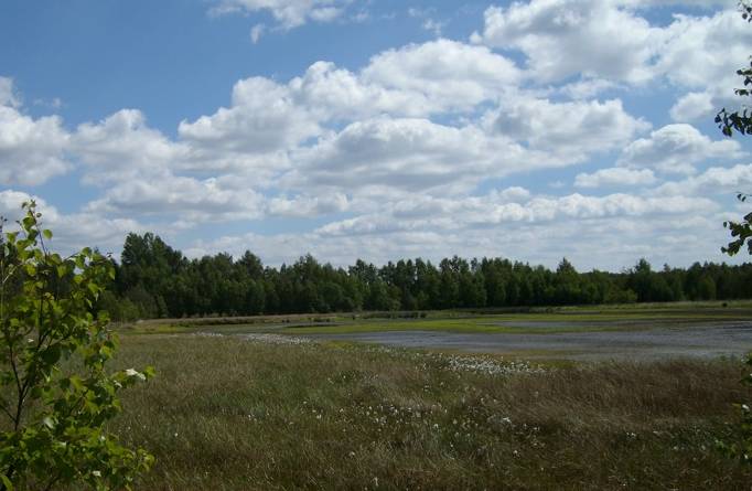 Blick auf den Moorsee im Naturschutzgebiet Grambower Moor