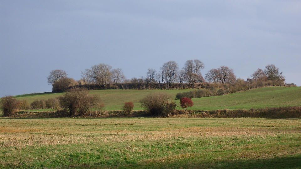 Slawischer Burgwall Grapenwerder bei Penzlin in Mecklenburg-Vorpommern