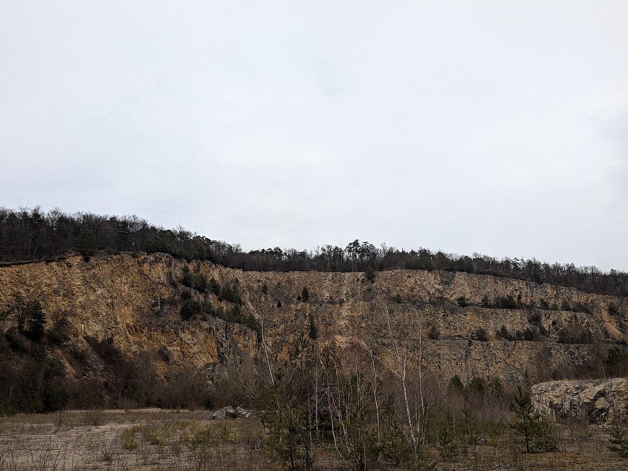 Greifenberg und Waltenhofener Hänge