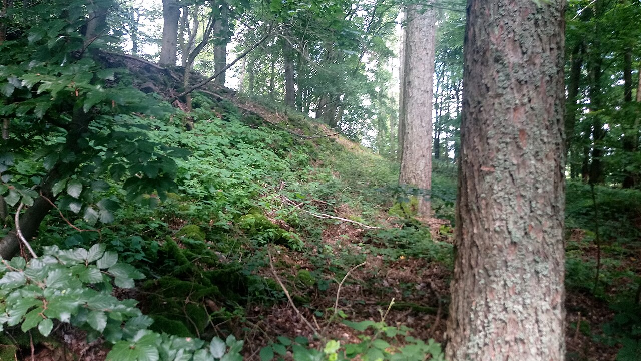 Ringwall Greinberg