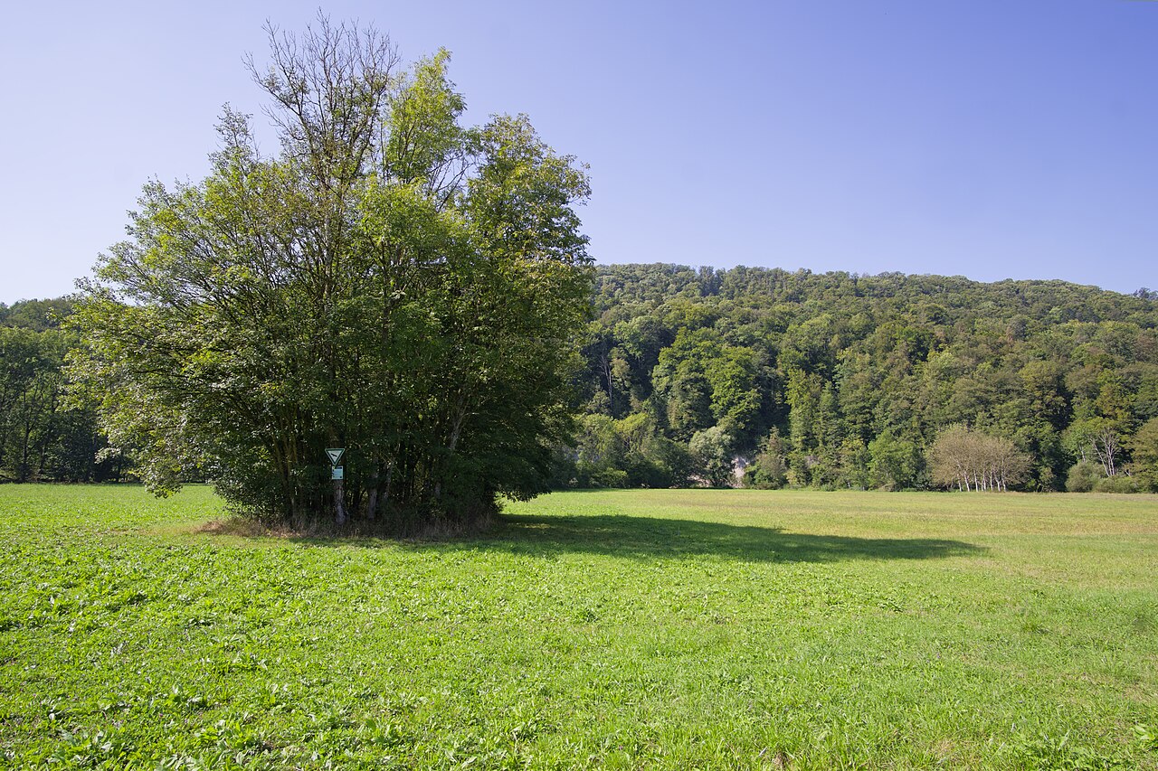 Naturschutzgebiet Grimmbachmündung, Gemeinde Braunsbach, Lkr