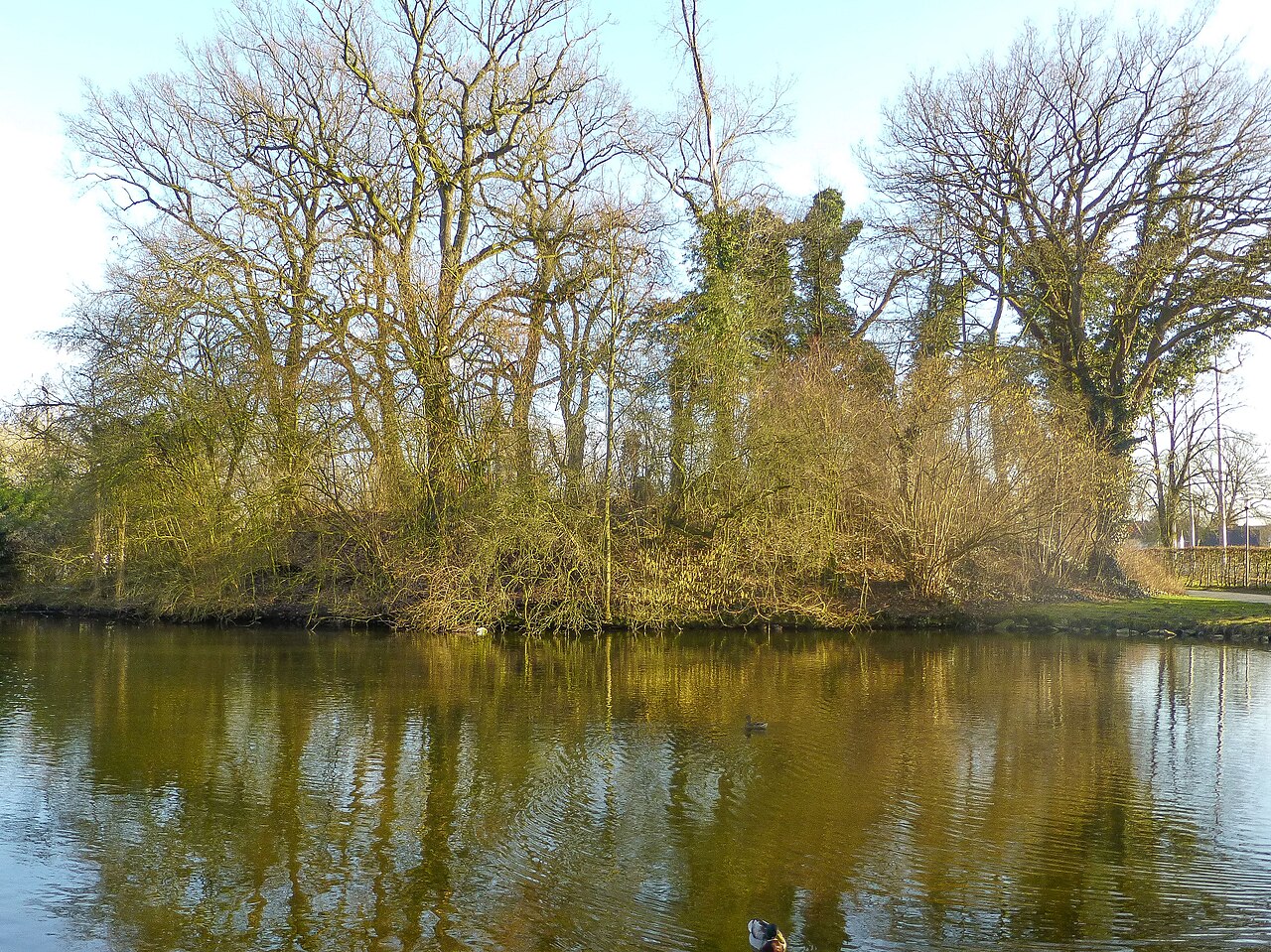 Der Mottenhügel von Burg Gröneberg von Nordwesten