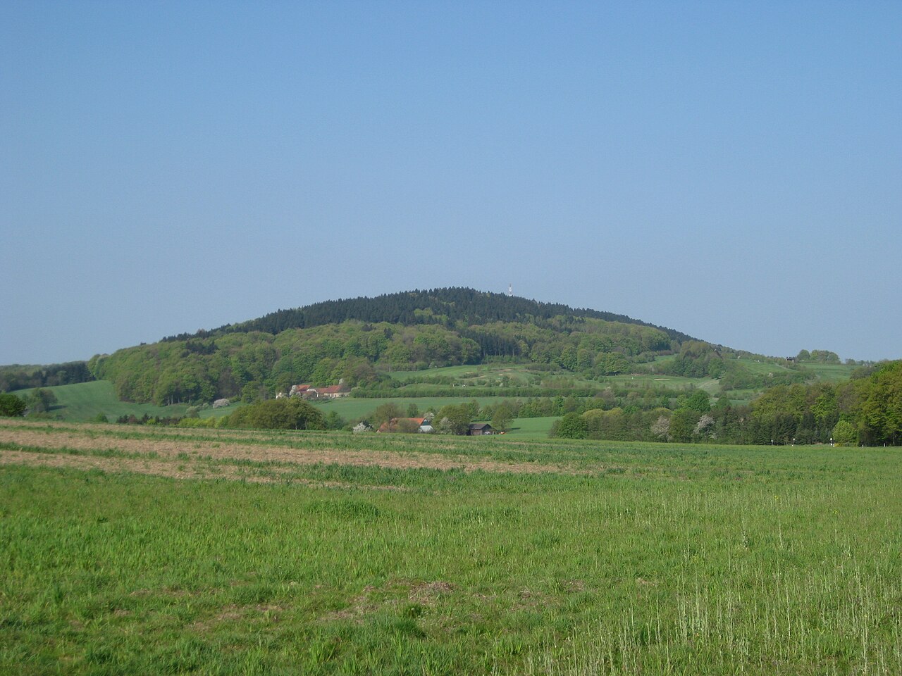 Halle (Westf