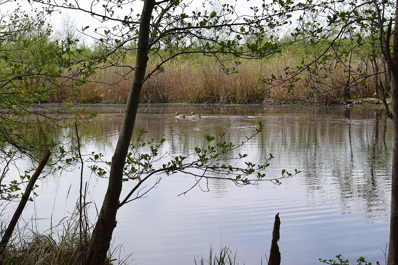 Naturschutzgebiet Große Freiheit bei Plaue, Brandenburg an der Havel