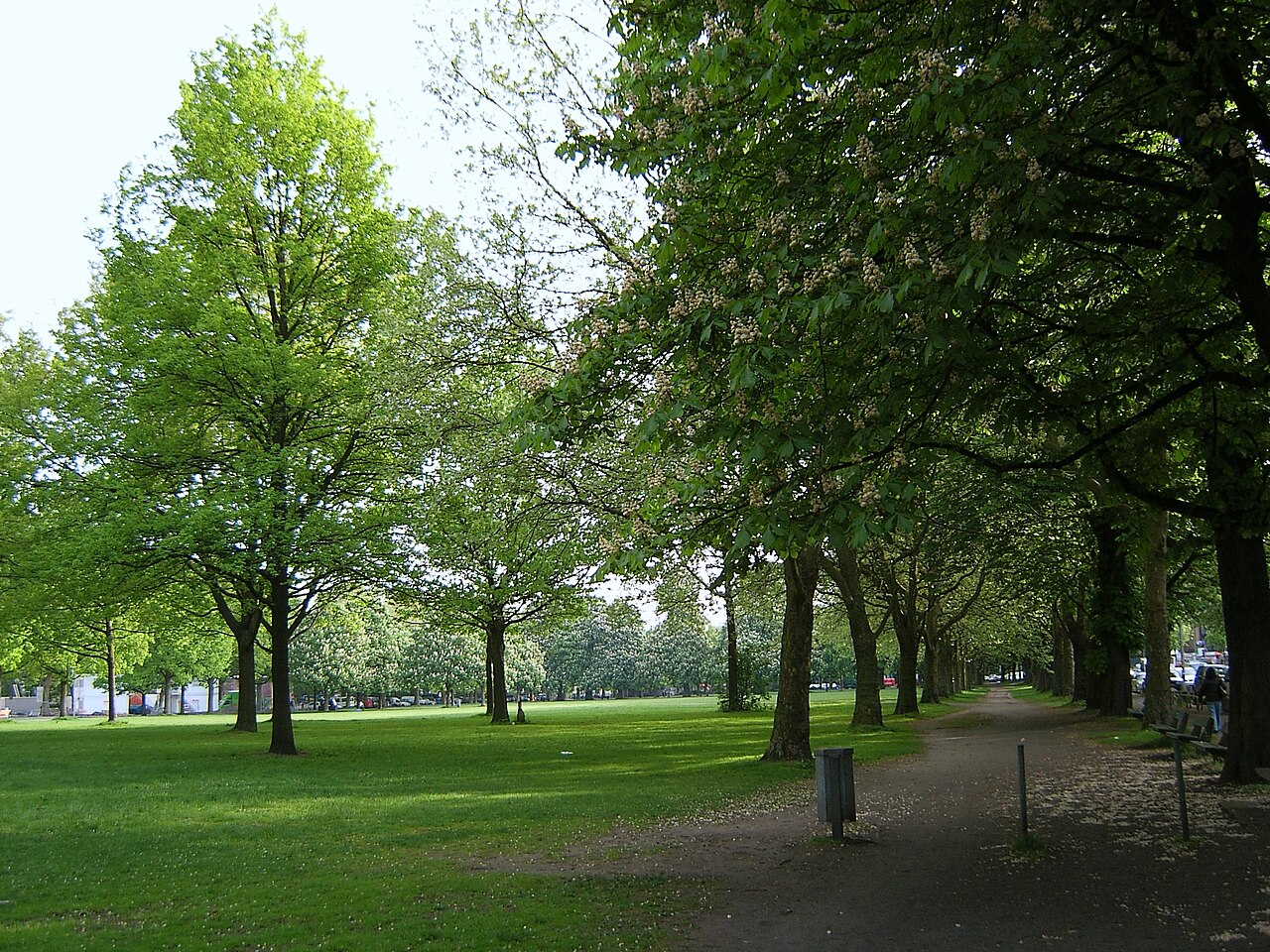 Hamburg, Rotherbaum, Dammtor, Moorweide