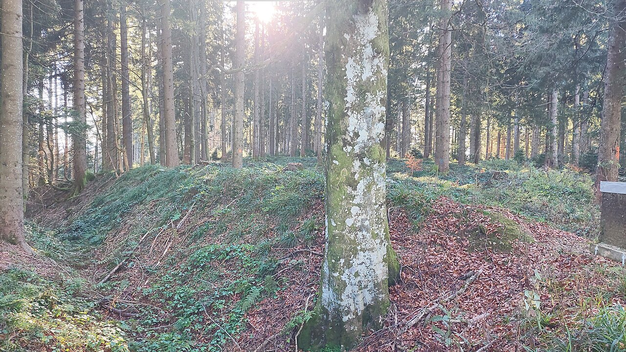 Große Schwedenschanze on Hauptmannsberg, southern part