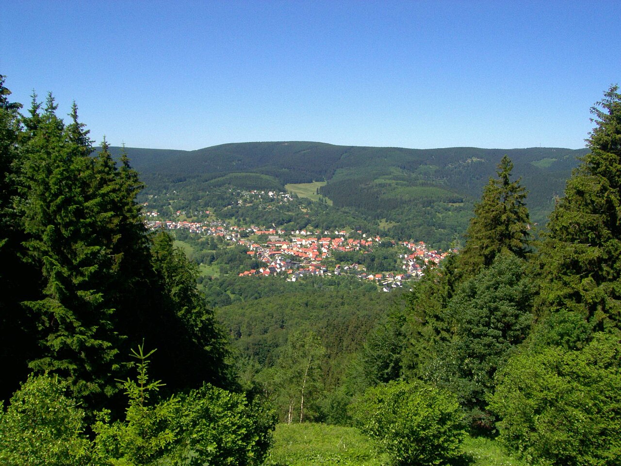 Der Große Beerberg (983 m), höchster Berg des Thüringer Waldes von Süden