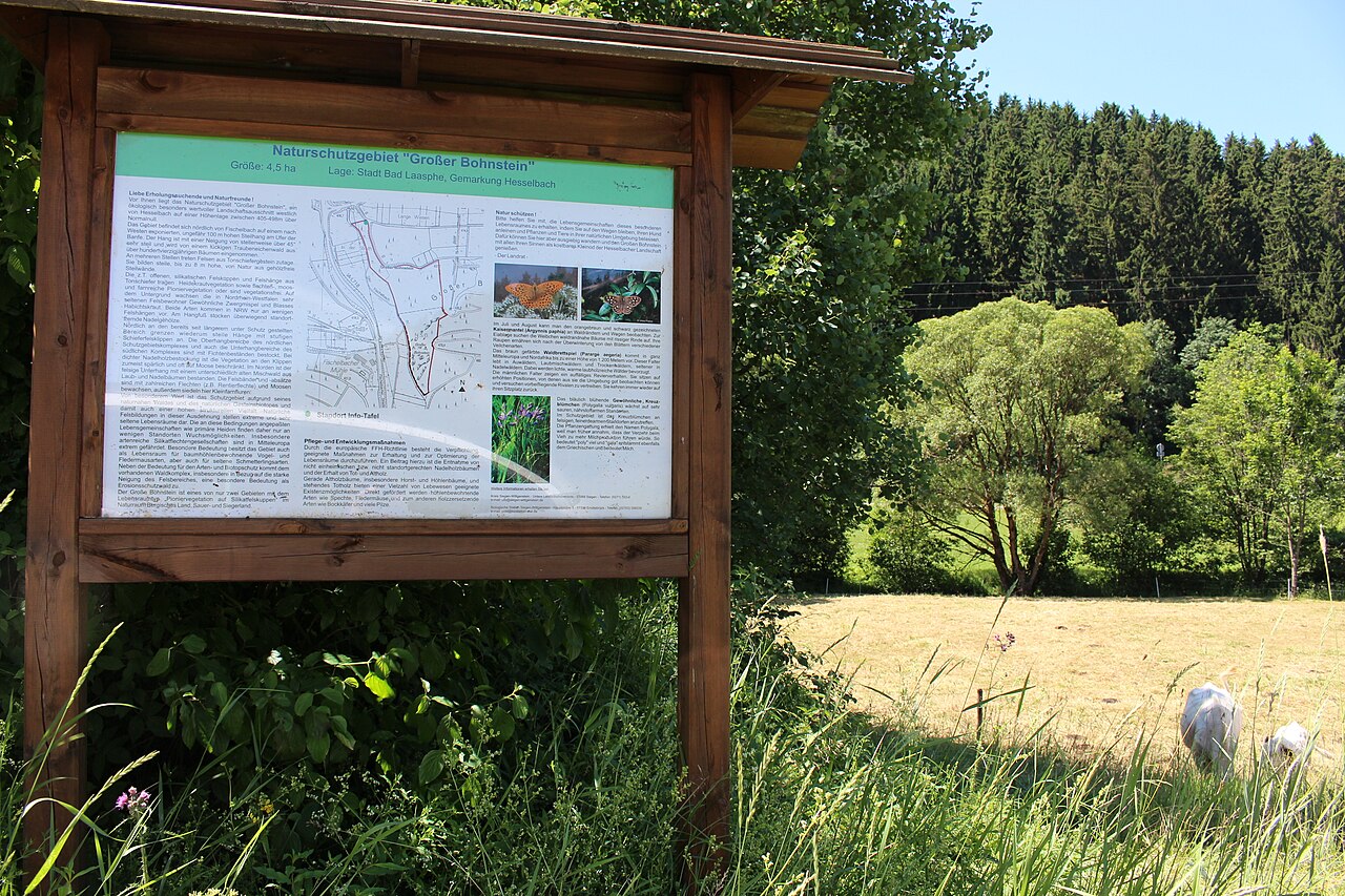 Information board of the nature reserve at the Großer Bohnstein mountain, Germany