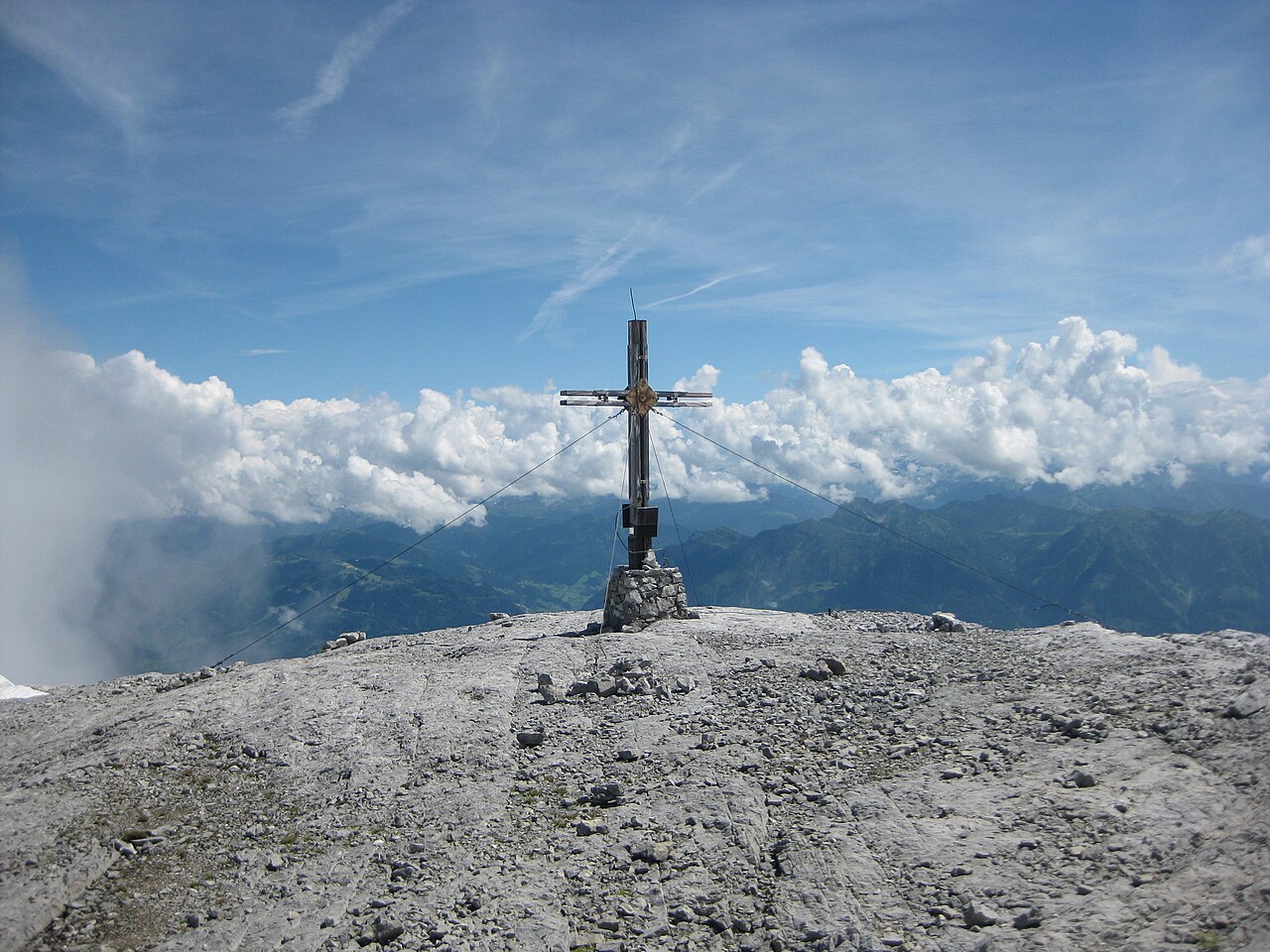Großer Bratschenkopf