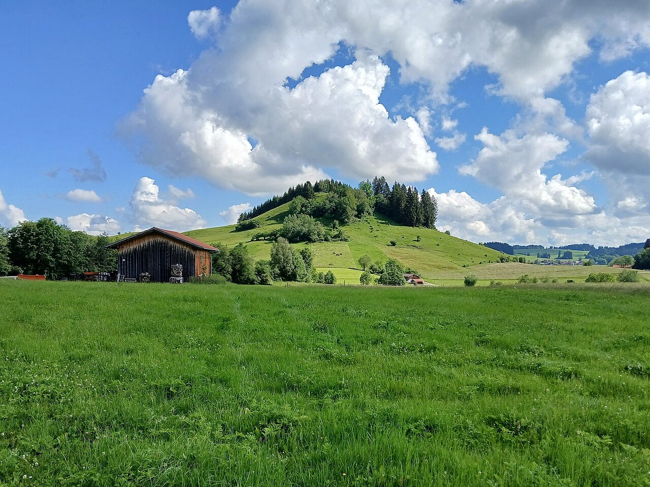 Der (Große) Josberg (964 m) bei Pfronten-Weißbach, Ansicht von Süden