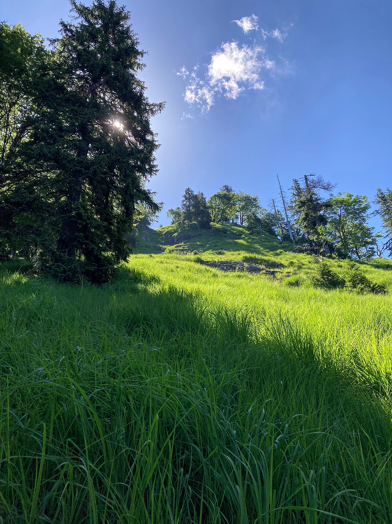 Großer Nock, Bavaria, upper part
