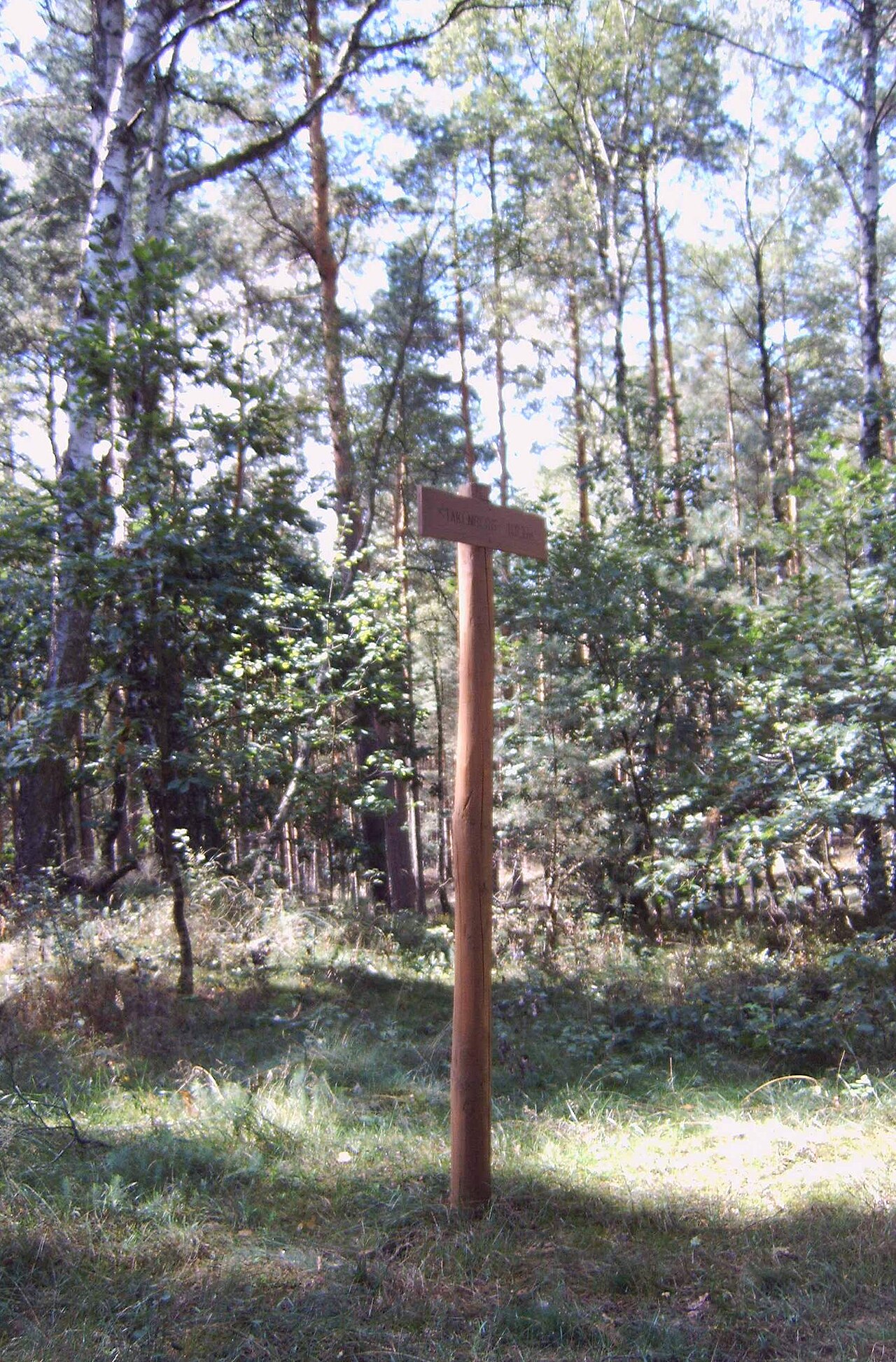 Gipfel des Stakenbergs in der Gemeinde Zichtau , Sachsen-Anhalt